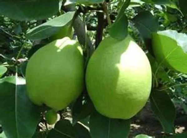 武威,最吸引你的是什么?