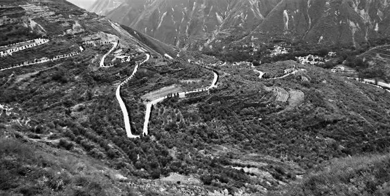 曾经光秃秃的毛家山，在毛志英一锹一铲的坚持下，披上了绿装。（资料图）