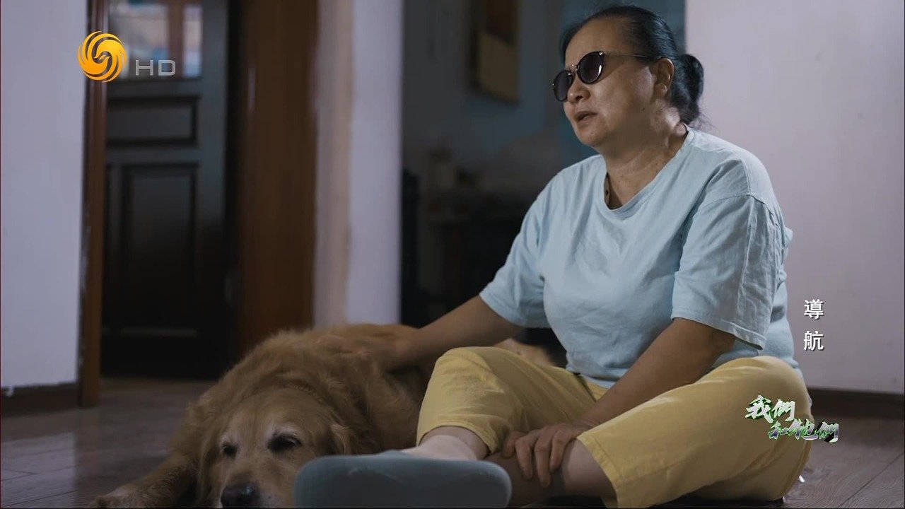 自从有了“贝贝”，王晓军的生命也有了光，然而导盲犬也有“退役”的一天