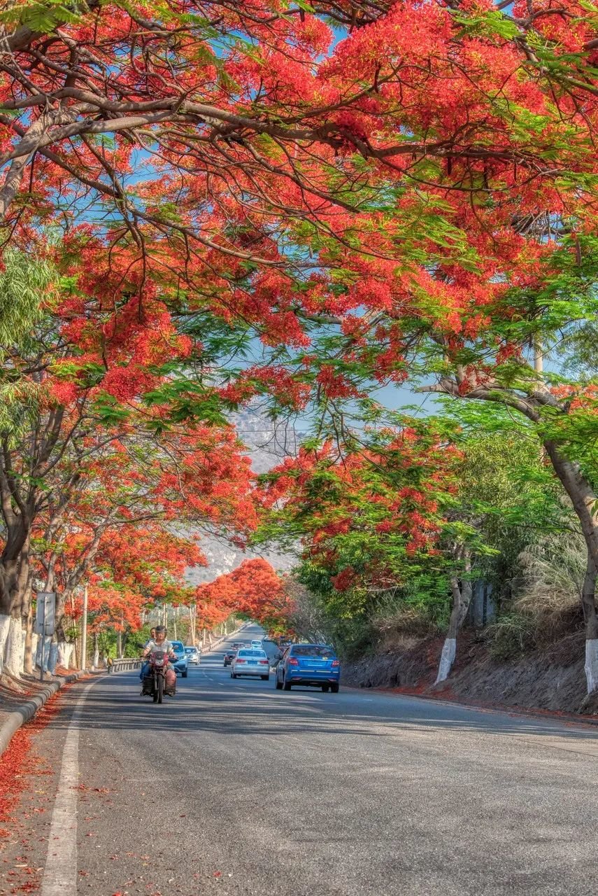 &copy;图虫：西蕴
