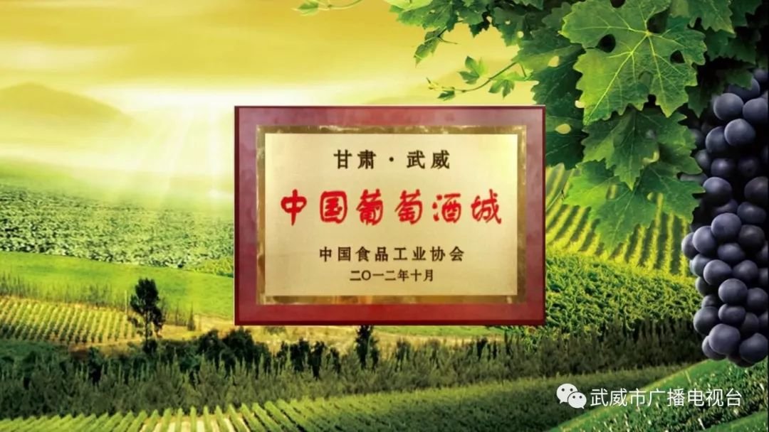 武威,最吸引你的是什么?