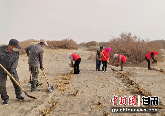 图为金塔县古城乡上东沟村压沙现场（资料图）金塔县委宣传部供图
