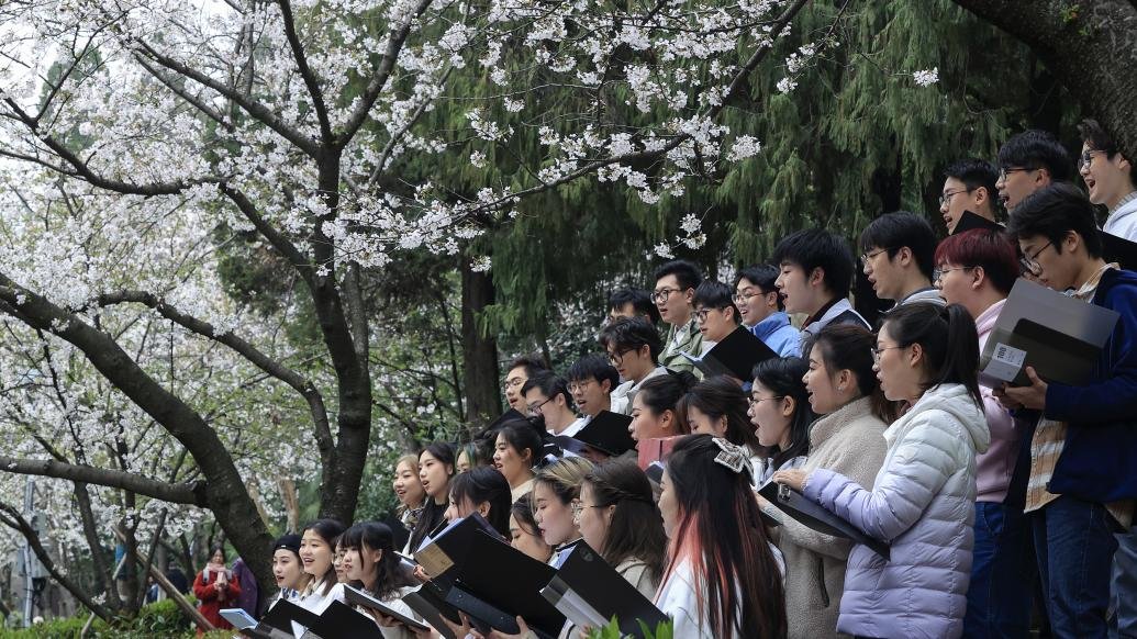 武大2023抗疫医护赏樱专场：学生齐声合唱感恩抗疫医护