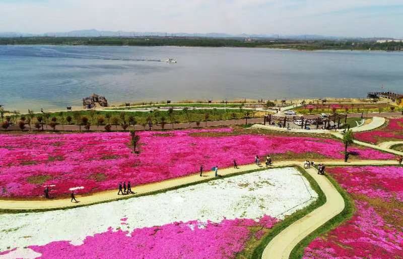 安阳·汤阴“周易杯”汤河湿地公园马拉松4月29日鸣枪开跑