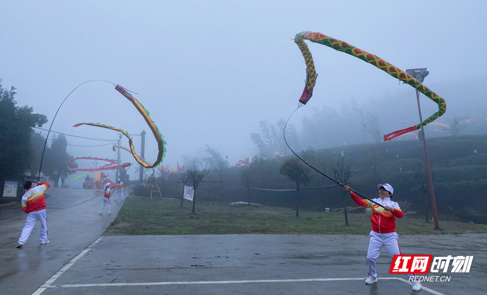 开园仪式舞龙表演。