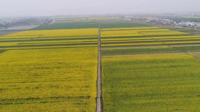江洲第三届生态旅游节暨“2023江西消费提振年”九江柴桑系列活动开幕