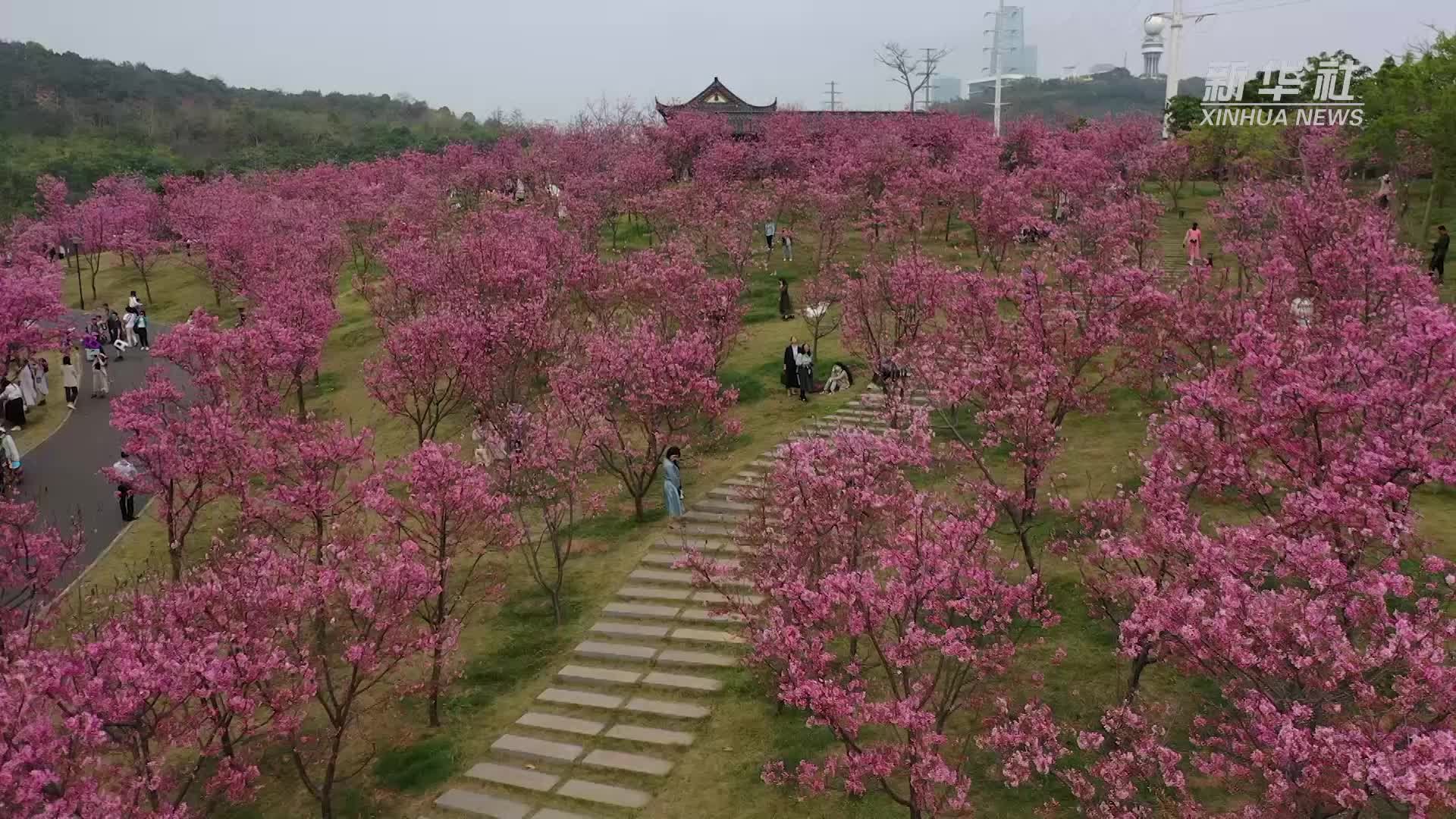 走进春天里  寻找春的气息