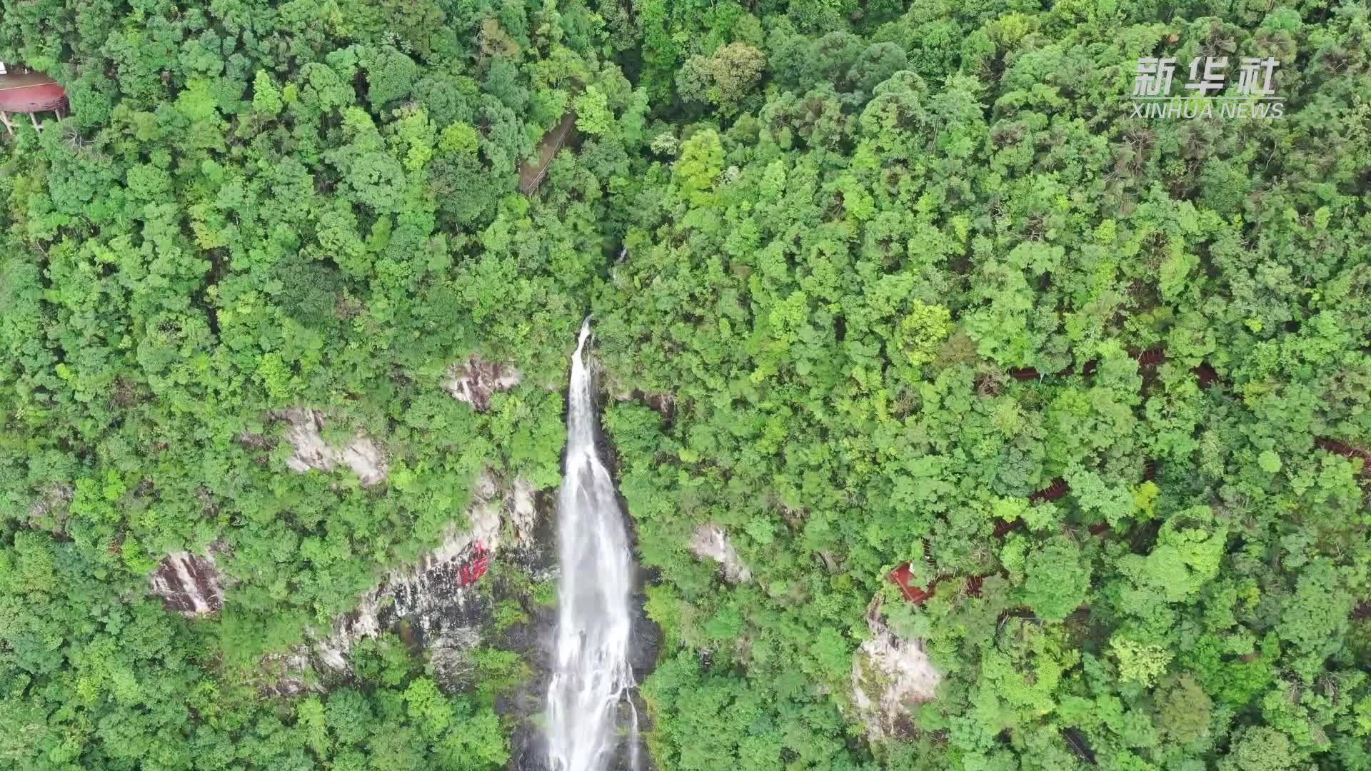 同饮东江水 共护东江源