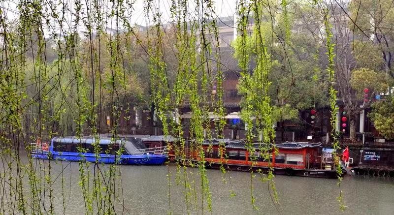 浙江余姚：垂柳依依 烟雨笼古城