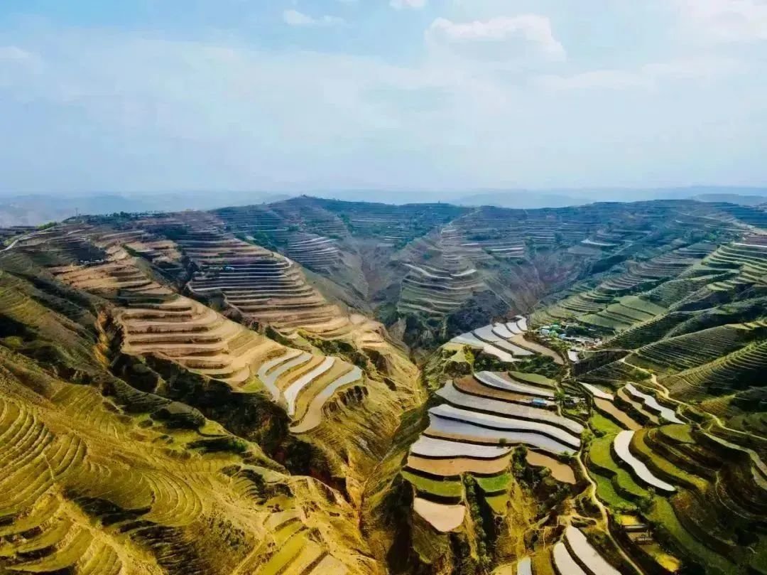 黄土高原遍地开花的奇迹工程：梯田