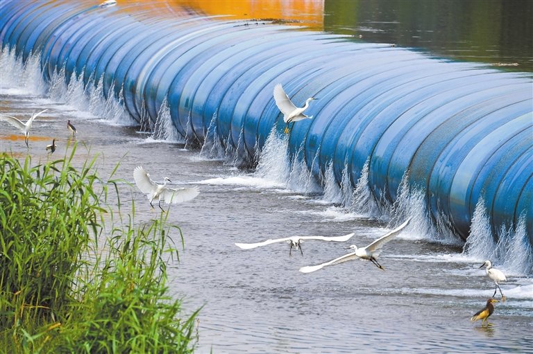 生态美景入画来