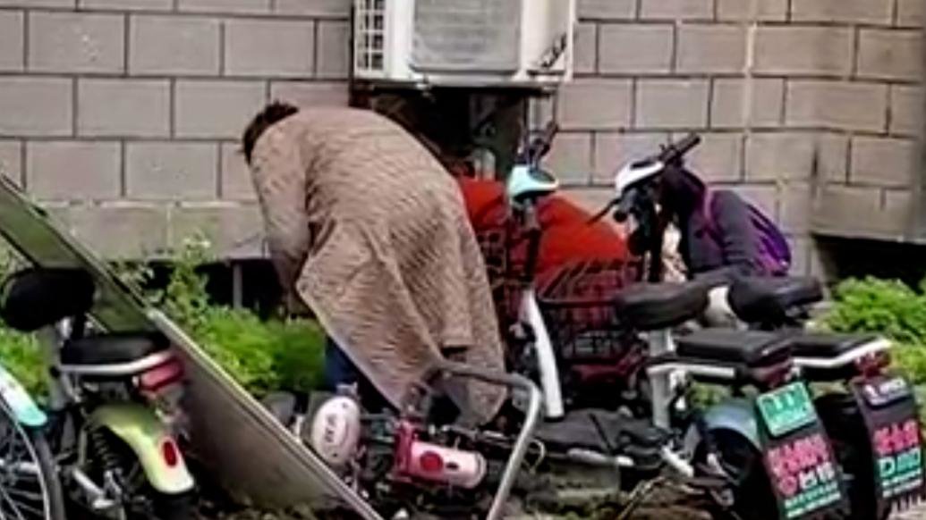 南京林业大学回应“大妈校园内组团挖野菜”：已加强安保