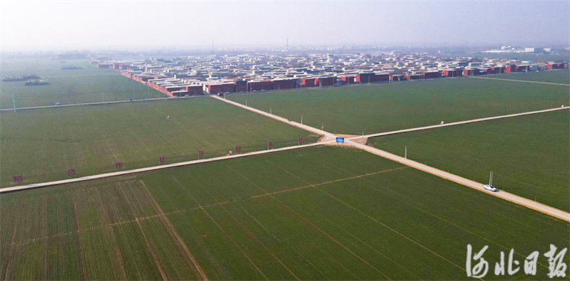 河北邢台市南和区：乡村振兴 交通先行2.jpg