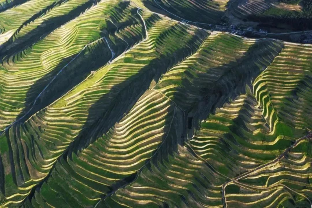 黄土高原遍地开花的奇迹工程：梯田