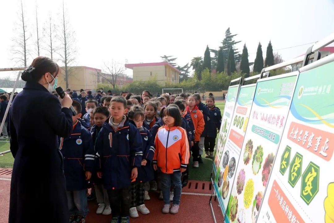 志愿者讲解“学做小小植物学家”科普展