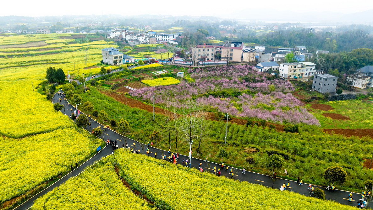 2023九江瑞昌第三届乡村花海马拉松开跑（魏东升 摄）