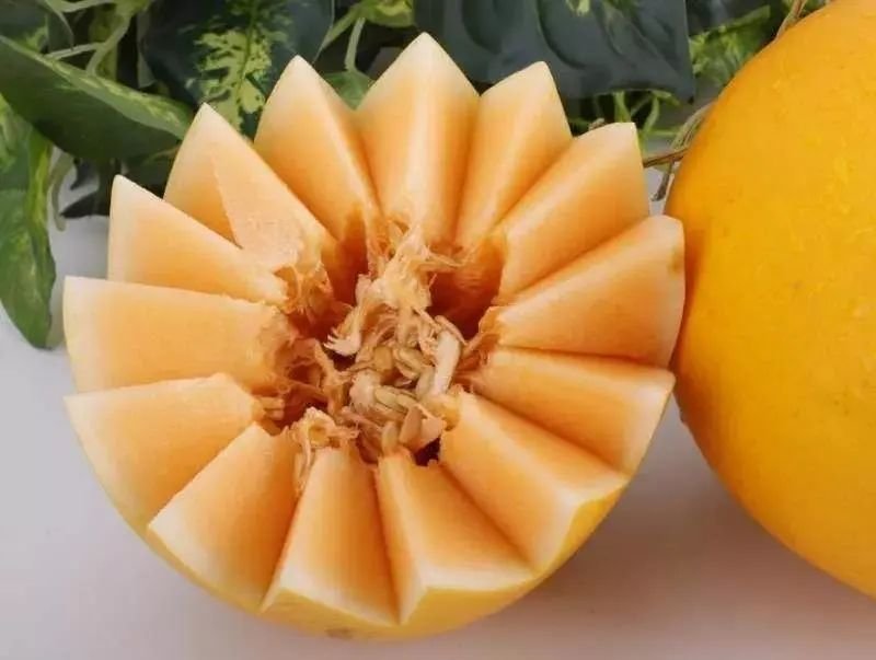 武威,最吸引你的是什么?