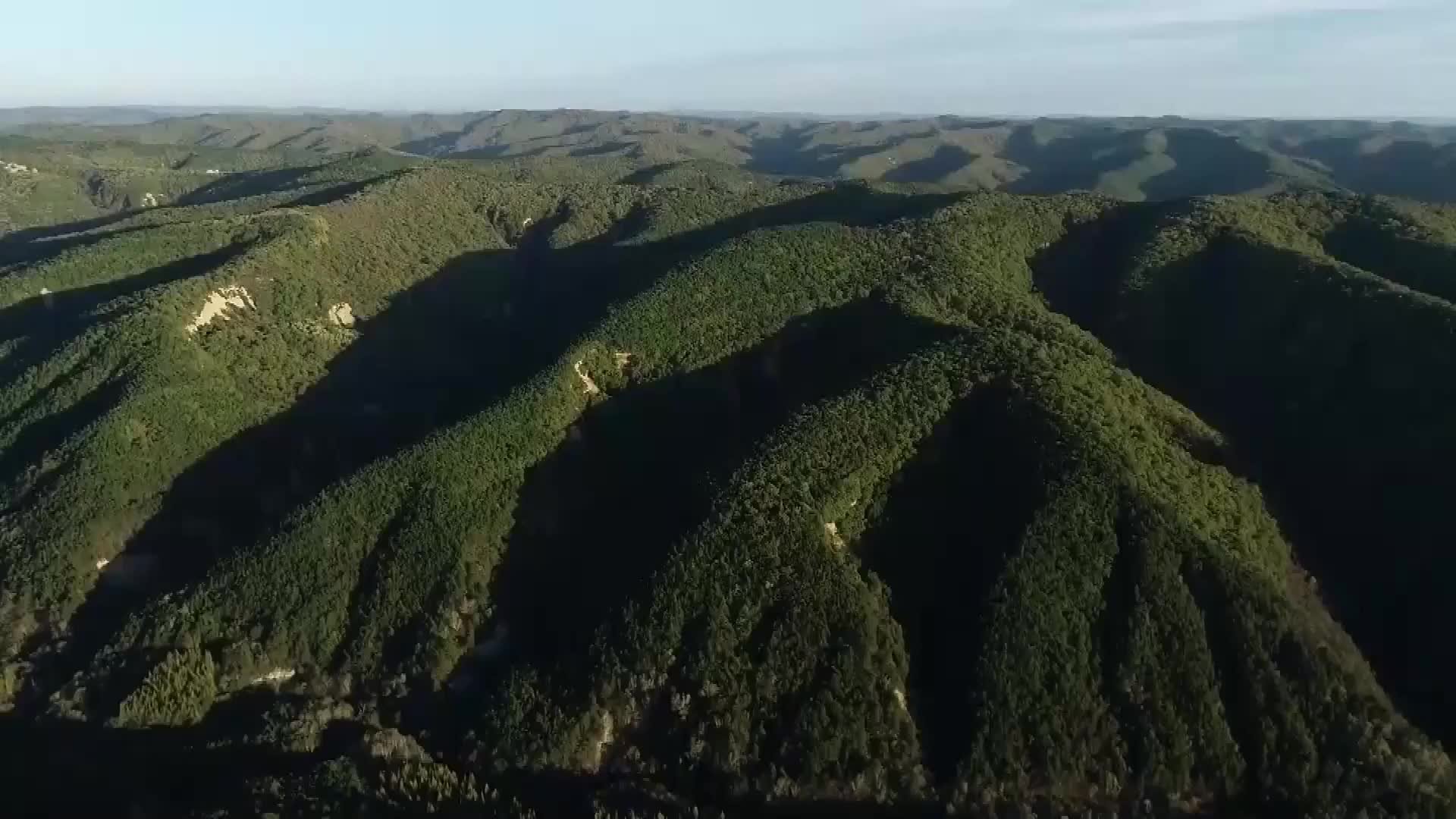 华北豹种群“乐居”中国西北子午岭