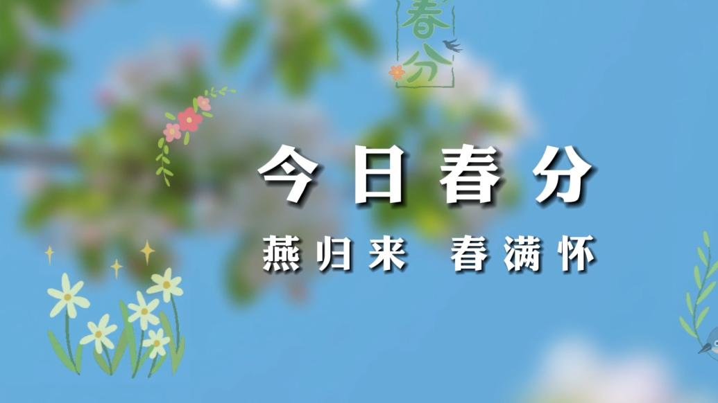 今日春分：燕归来，春满怀