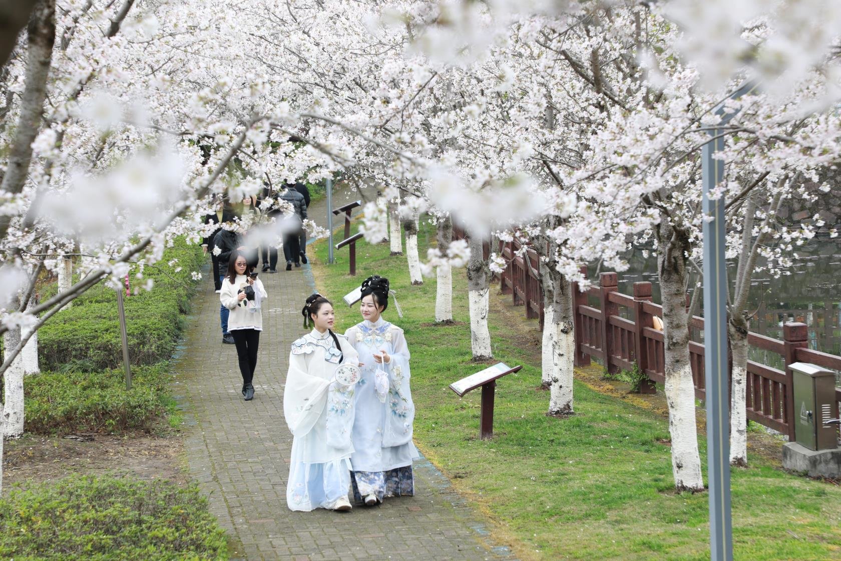 宁海“花漾宁海·四季有约”乡村节庆系列主题活动启动