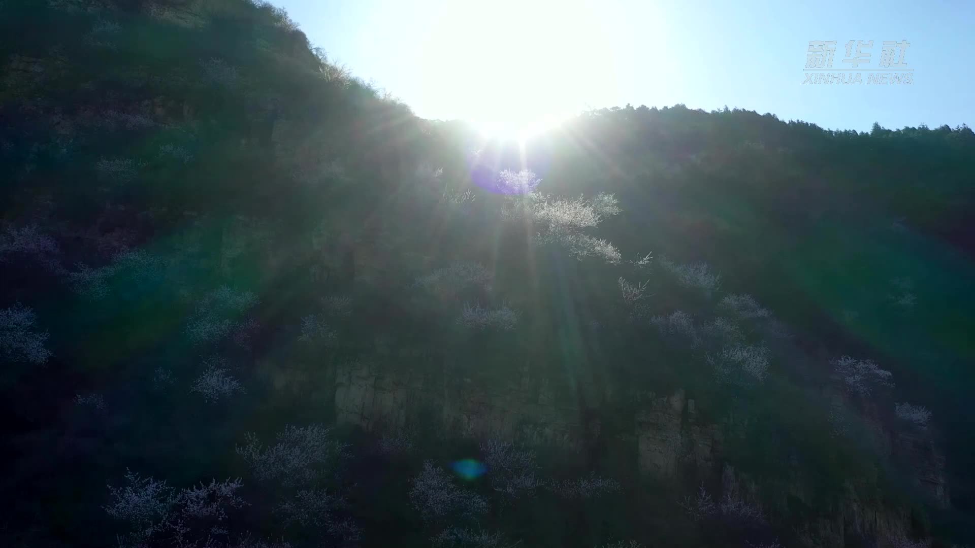 河北遵化：以花为媒 唱好春季旅游戏