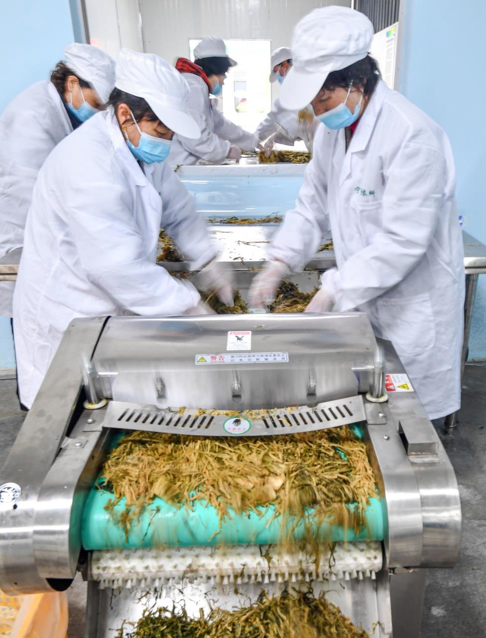 宁海“梨乡”洋湖村，进军预制菜市场