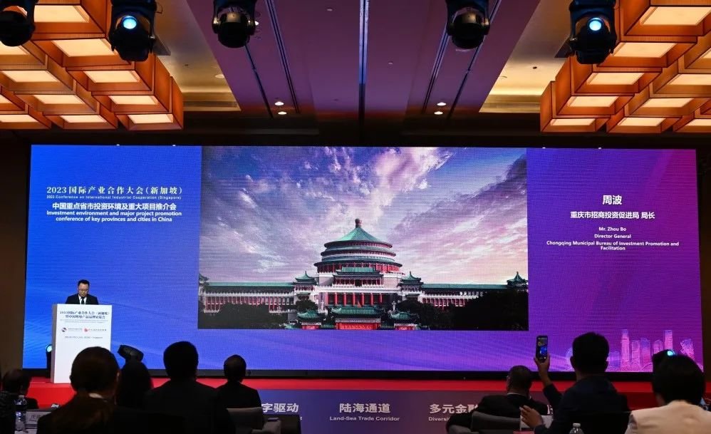 市招商投资局党组书记、局长周波作全英文招商推介