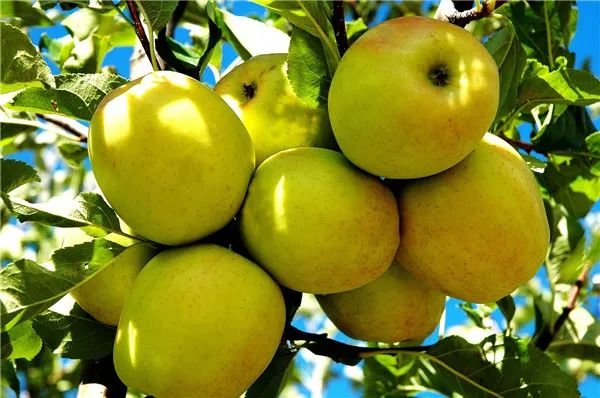 武威,最吸引你的是什么?