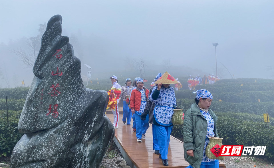 3月24日，衡阳市南岳区寿岳乡龙池村石山茶场开园。