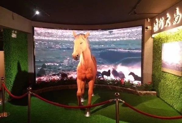 武威,最吸引你的是什么?