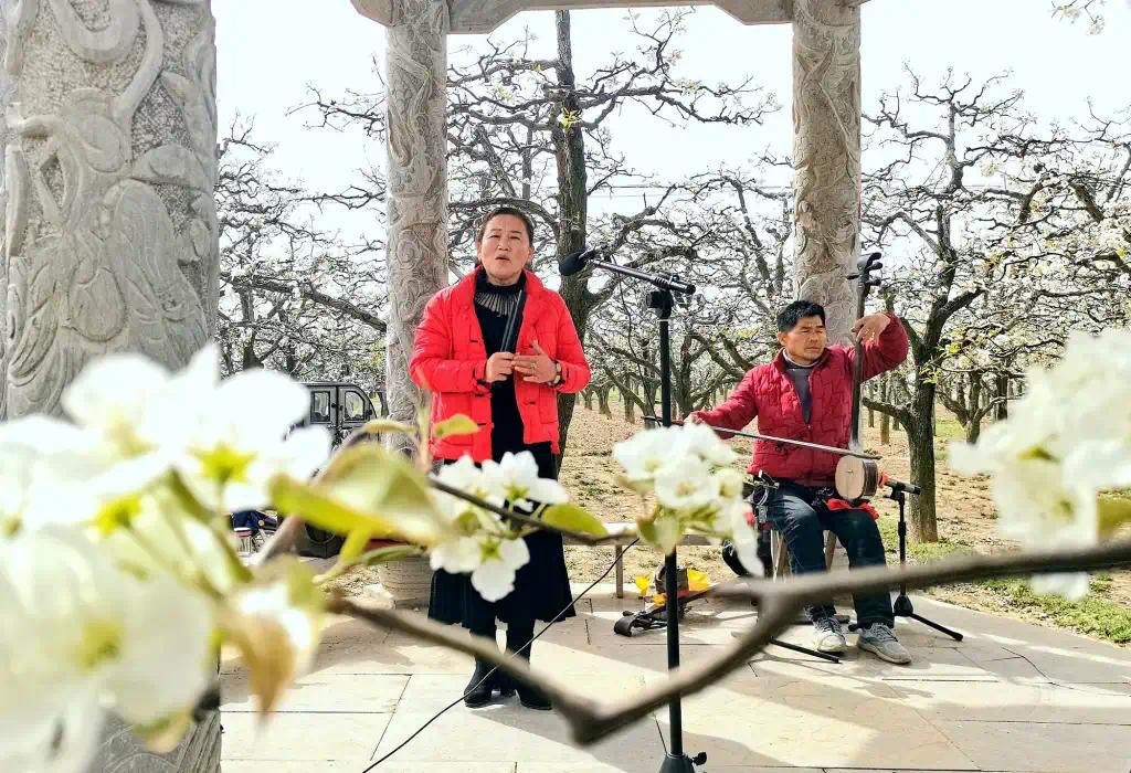 葛天故里 梨花飞雪|中国·宁陵第二十届梨花节盛大开幕