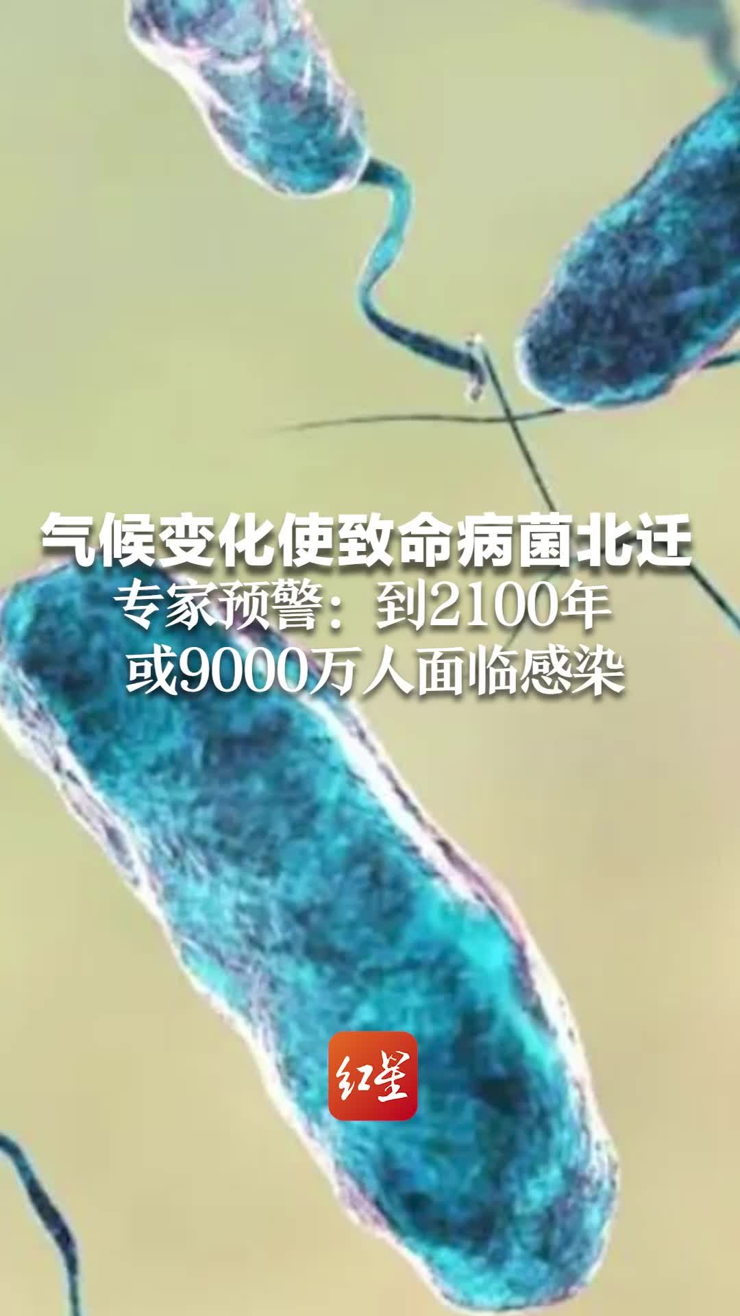 气候变化使致命病菌北迁，专家预警：到2100年或9000万人面临感染