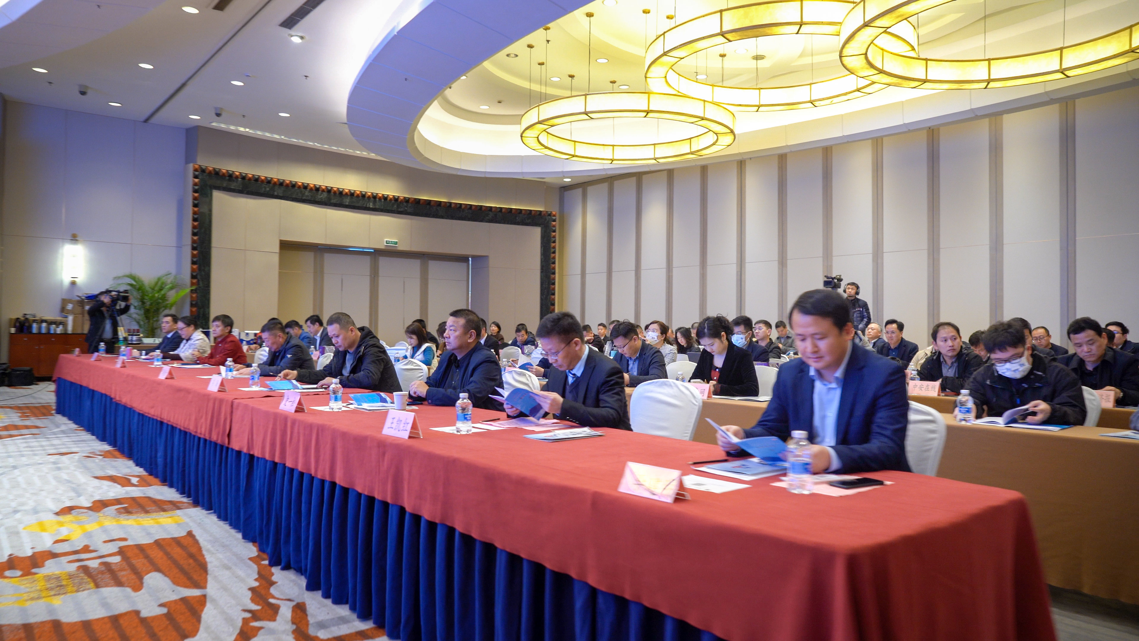 安徽怀宁：以“节”为窗口 享蓝莓“盛宴”