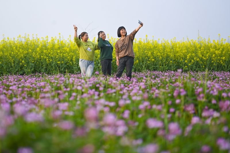 农旅融合（图）