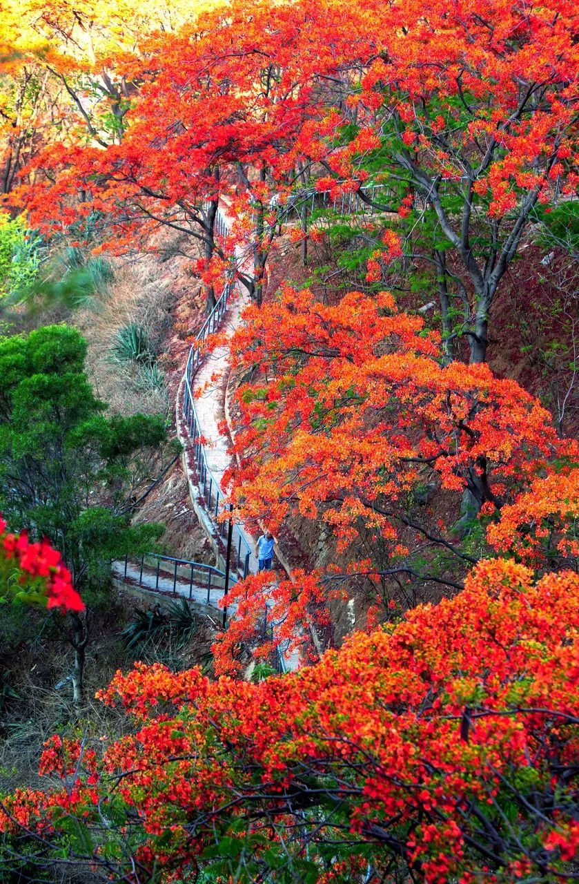 &copy;图虫：hu_yancong