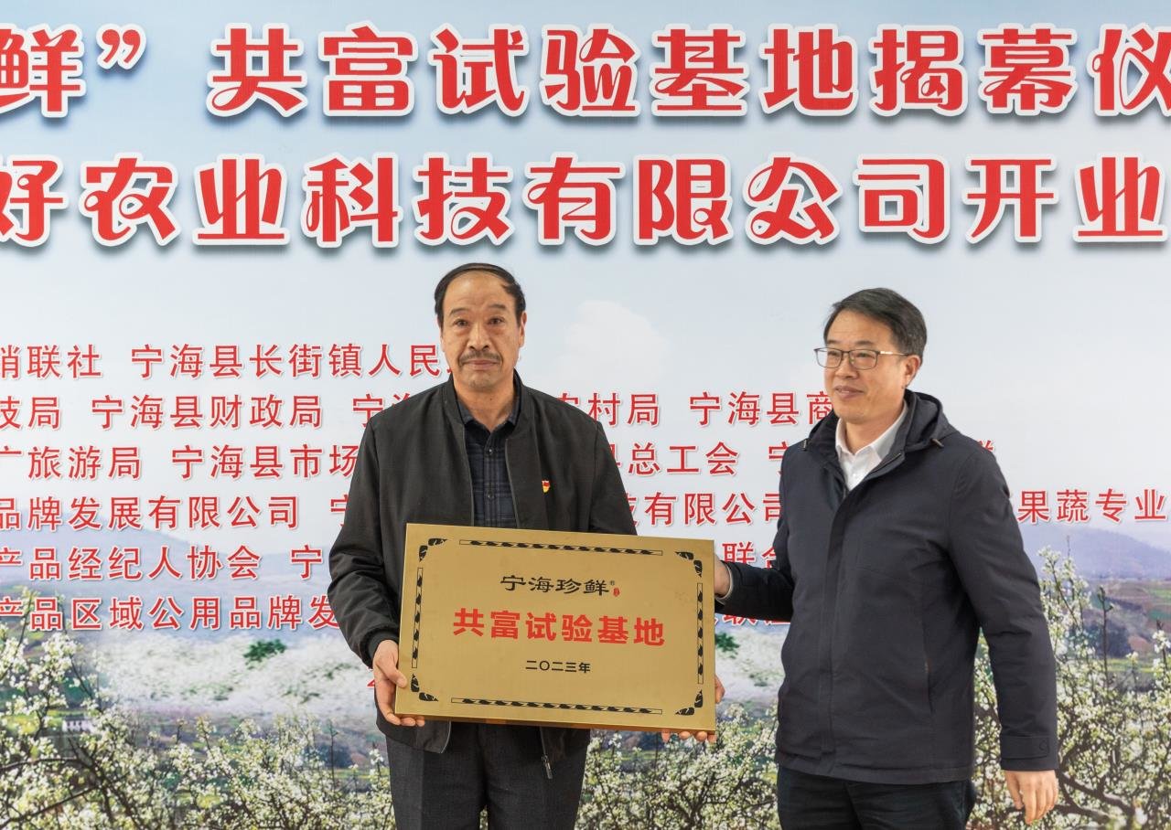 宁海“梨乡”洋湖村，进军预制菜市场