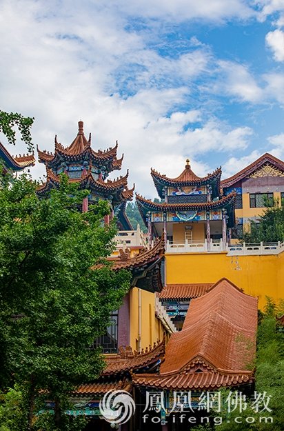 一座寺院从昼到夜能有多美！博山正觉寺参选作品|“云游寺院”摄影展