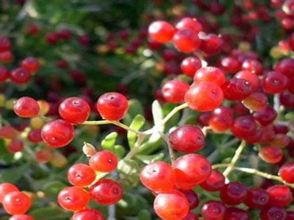 武威,最吸引你的是什么?