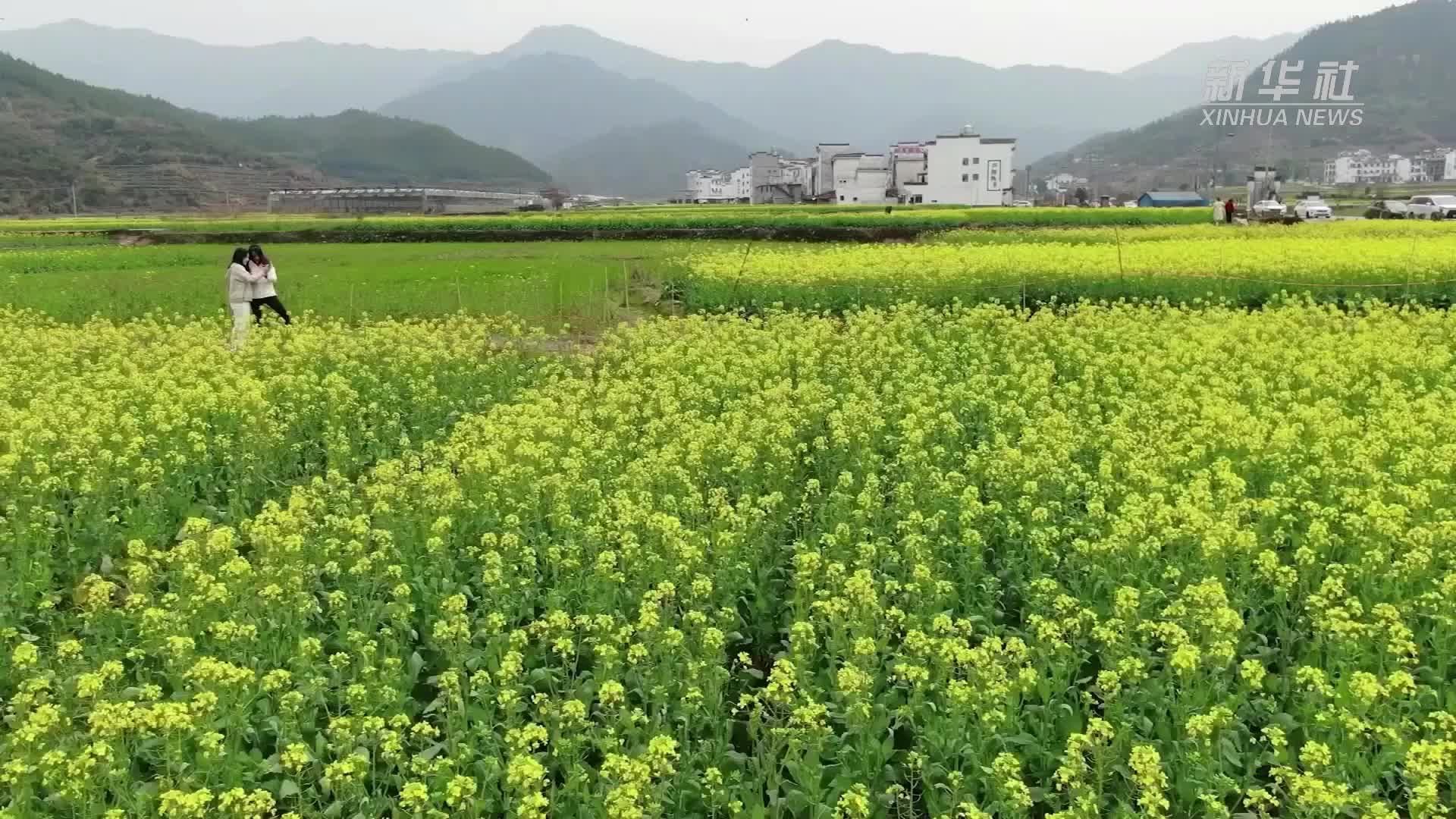 一把油纸伞撑起“非遗”传承之美