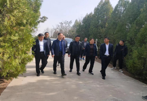 实地检查三原县嵯峨山森林公园图片