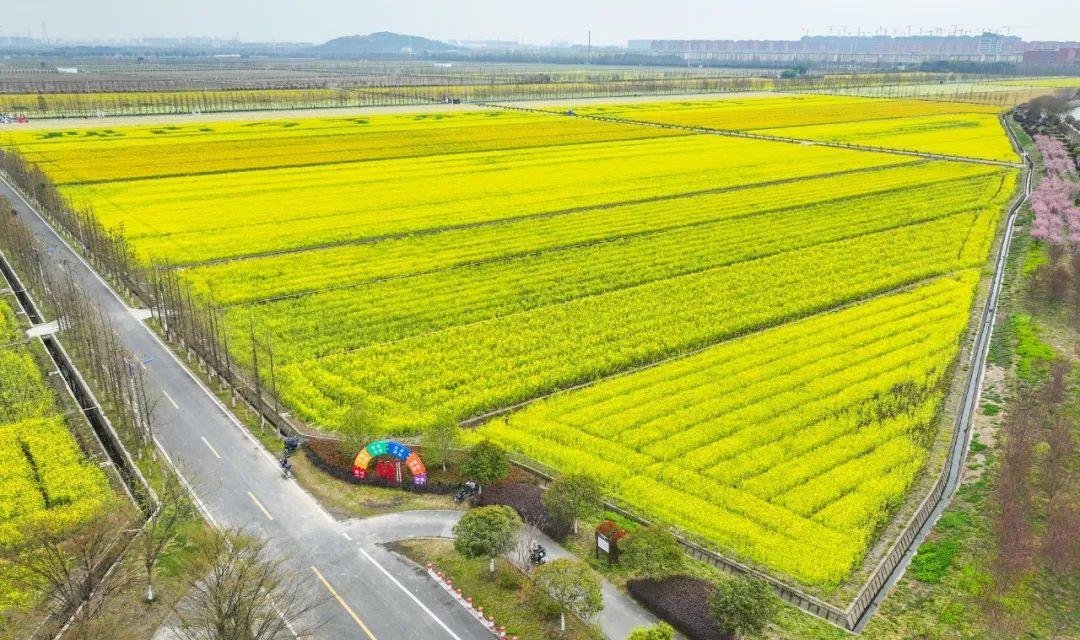 除了本次的油菜花节,接下来在小昆山现代农业示范区,还有田园亲子健康