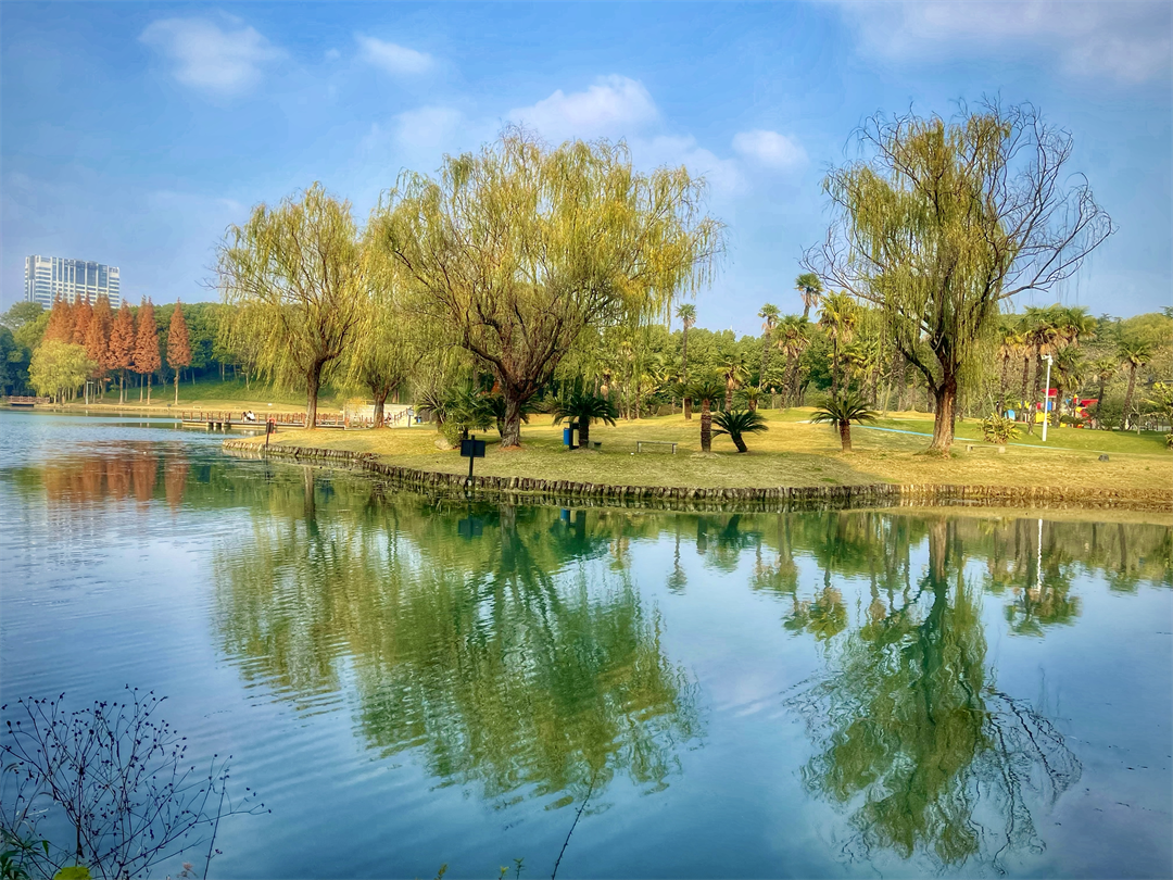 无锡新吴：“颜值”升级 “家门口”的生态公园服务市民更贴心