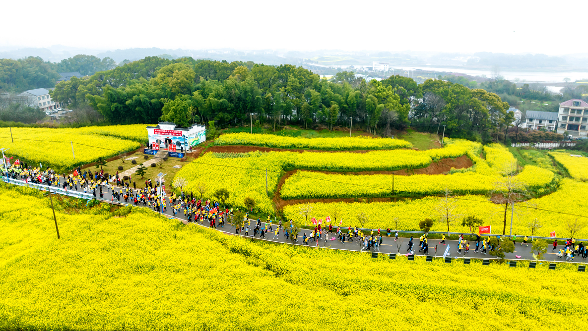 2023九江瑞昌第三届乡村花海马拉松开跑（魏东升 摄）