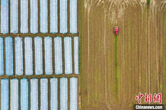 春分至农事忙江西上高广袤田野机声隆隆备春耕