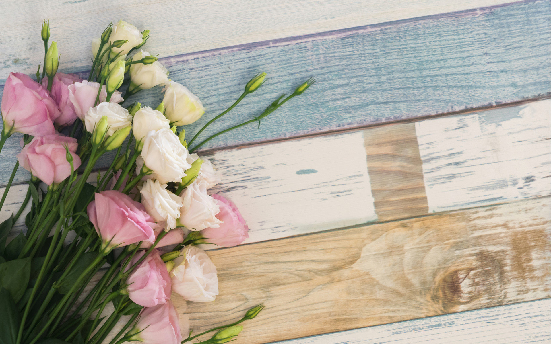 精细化管护 平度旧店镇花箱花卉换新装五彩旧店展靓颜