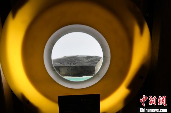 图为甘肃省博物馆展示的昆虫化石。　戴文昌 摄