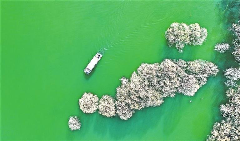 永靖县魏家坡碧水浩荡