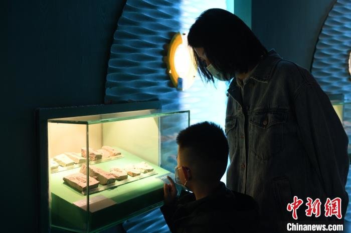 图为小朋友和家长在甘肃省博物馆参观古生物化石展。　戴文昌 摄