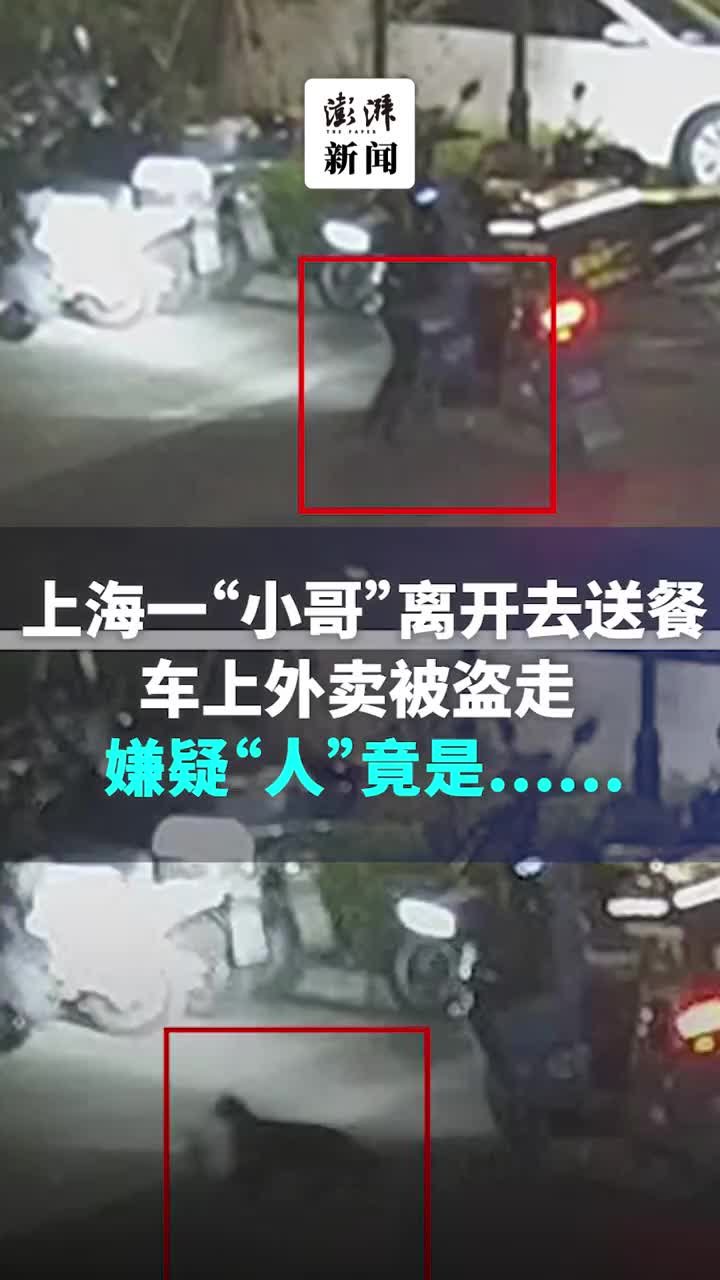 上海一外卖小哥送餐时车上外卖被盗，嫌疑“人”竟是……