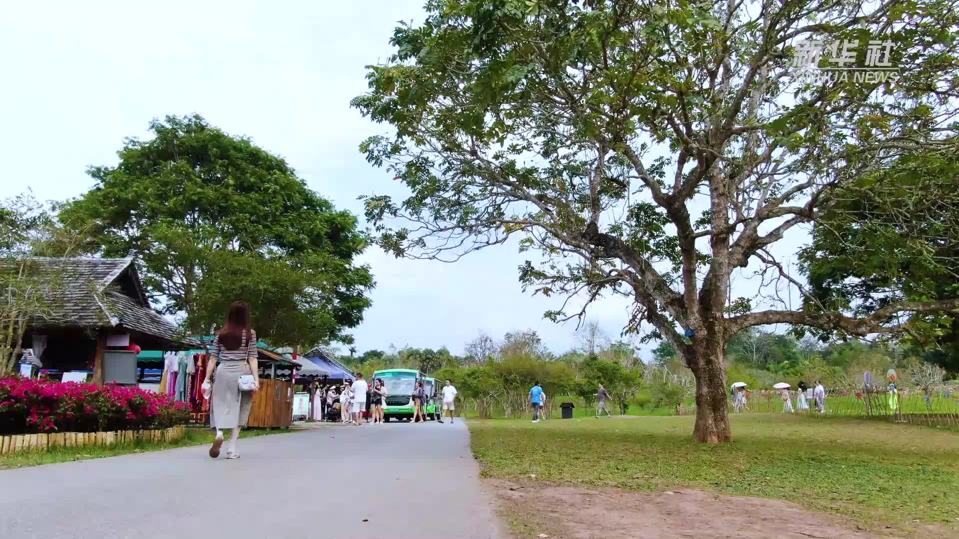 春来万物盛 走进西双版纳热带植物园